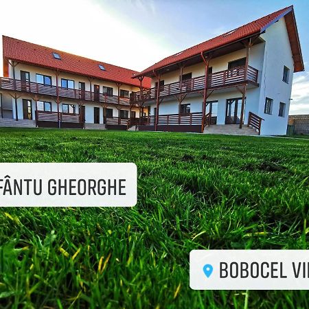Bobocel Villa Сфынту-Георге Экстерьер фото